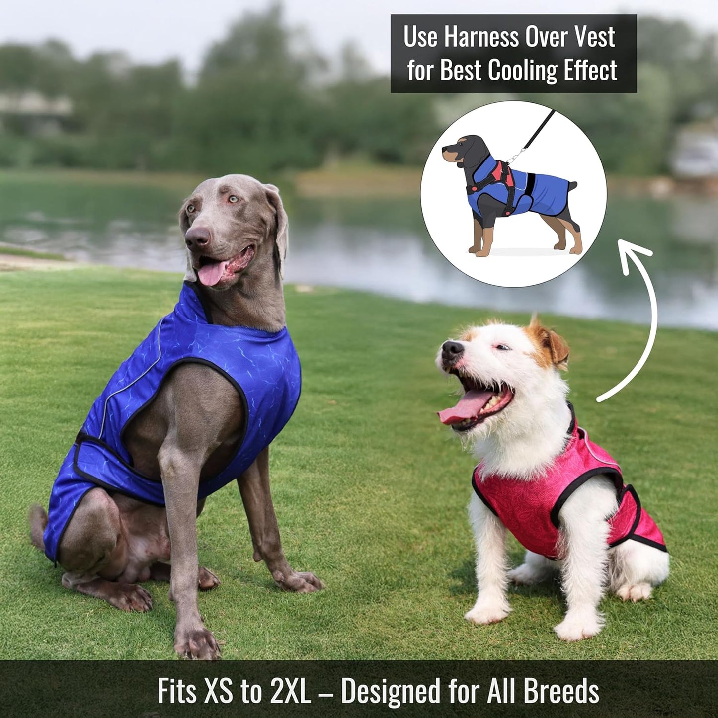 Dog Cooling Vest with Ice Pack & Cooling Collar, Pink Floral, XS | Maximum Cooling Support, Size-Matched Ice Packs, Cooling around Neck and Body, UV Protection, Sizes to Suit Most Dogs