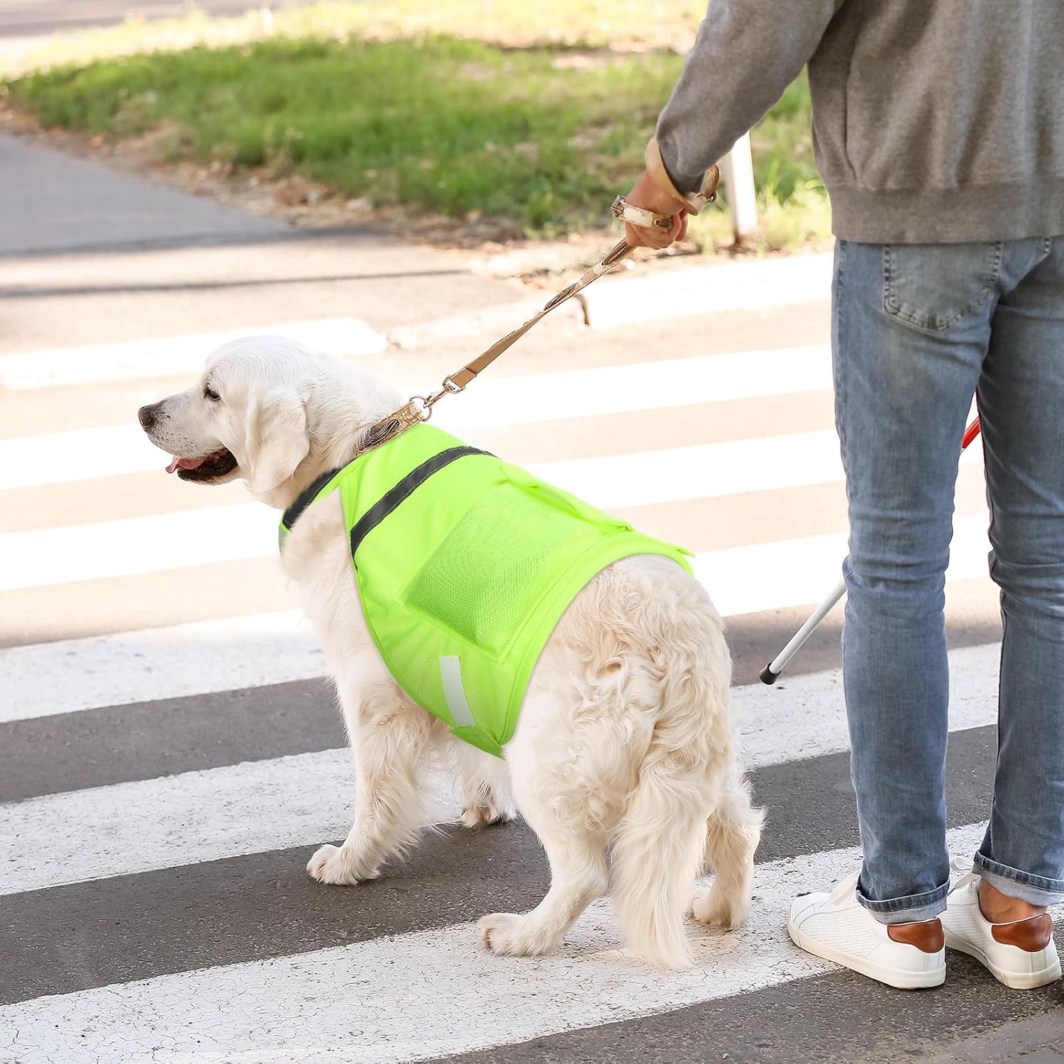 2 Pcs Dog Cooling Vest with 4 Recyclable Ice Pack Summer Outdoor Dog Cooling Harness Shirt Adjustable Pet Cooler(Fluorescent Green,Large)