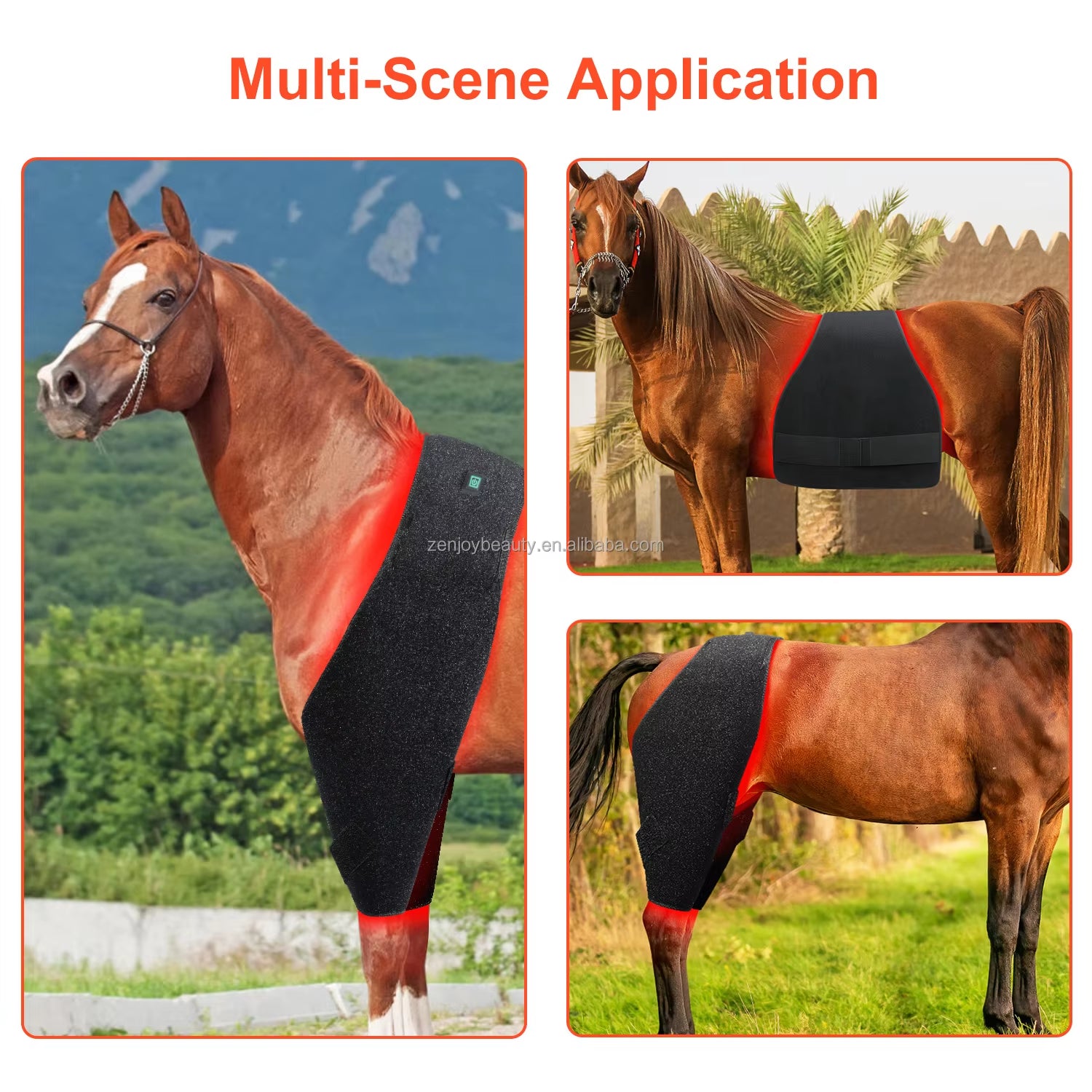 2025 Horse Care Products Built-In Battery LED Therapy Light Infrared Red Light Pad 660Nm 850Nm Pain Relief for Horse Stifle Belt