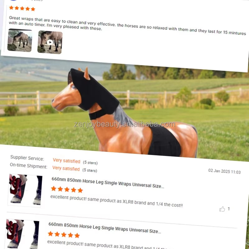 2025 Horse Care Products Built-In Battery LED Therapy Light Infrared Red Light Pad 660Nm 850Nm Pain Relief for Horse Stifle Belt