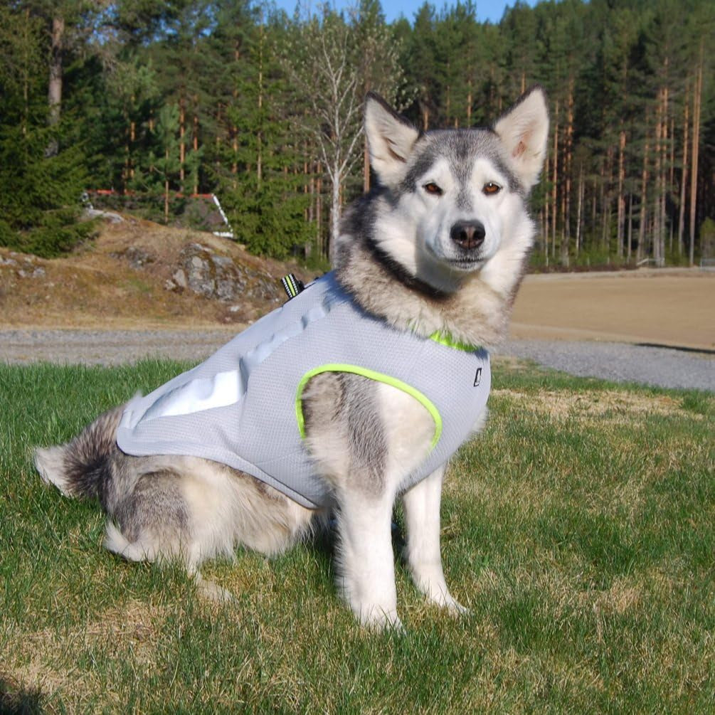 Dog Cooling Vest Harness Cooler Jacket Grey Green Xx-Large