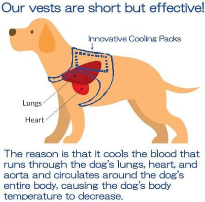 Cooling Vest for Dogs - Dog Cooling Vest with Innovative Cooling Packs (L, Light Blue)