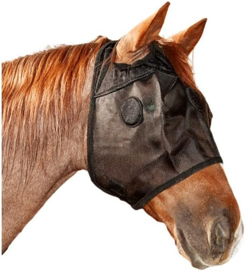 Magntx Mask