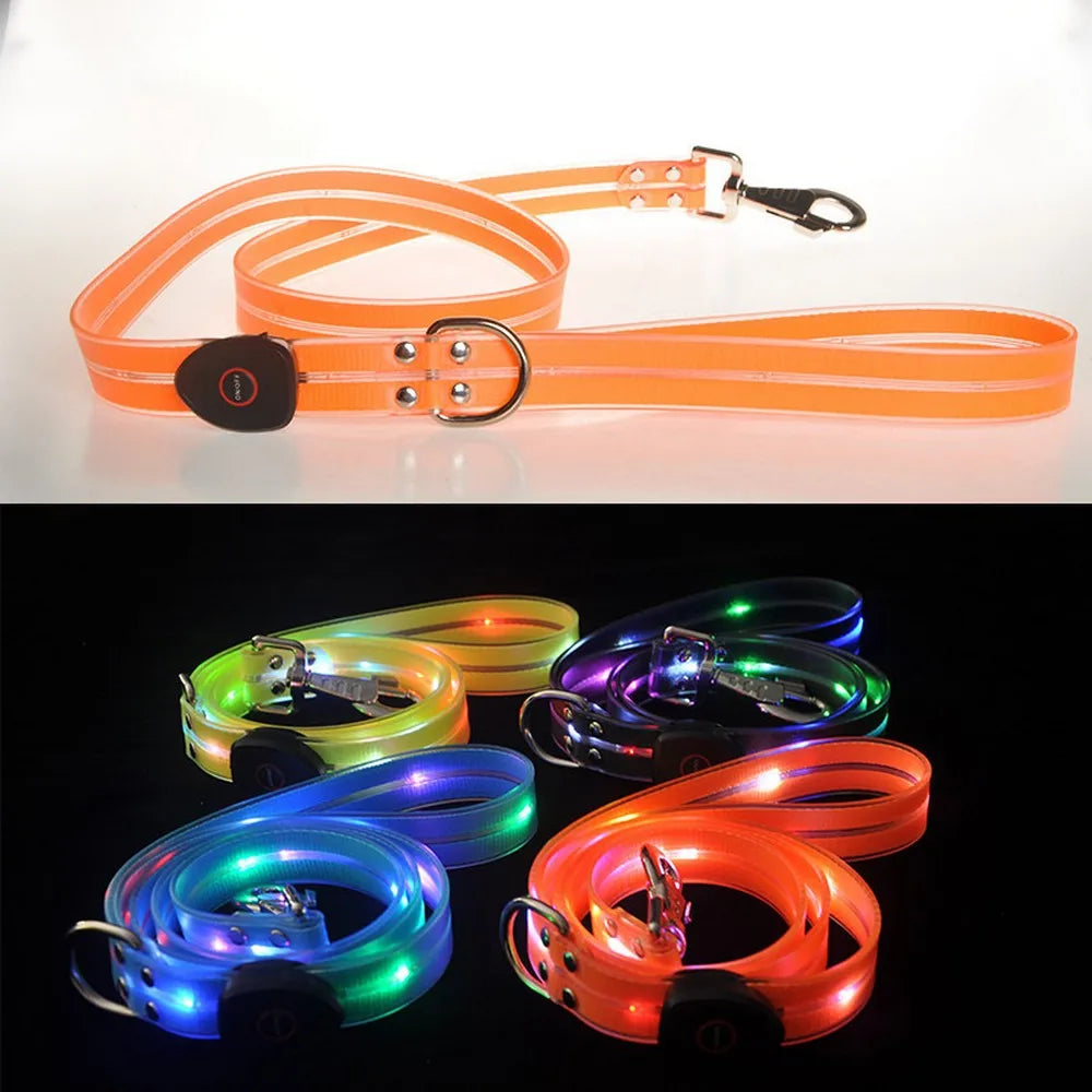 Pet Dog LED Light up Leash USB Rechargeable PVC with Webbing Glowing Pet Leash Light up Puppy Dog Night Walking No Collar