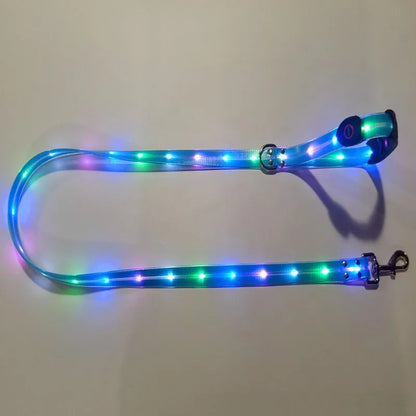 Pet Dog LED Light up Leash USB Rechargeable PVC with Webbing Glowing Pet Leash Light up Puppy Dog Night Walking No Collar