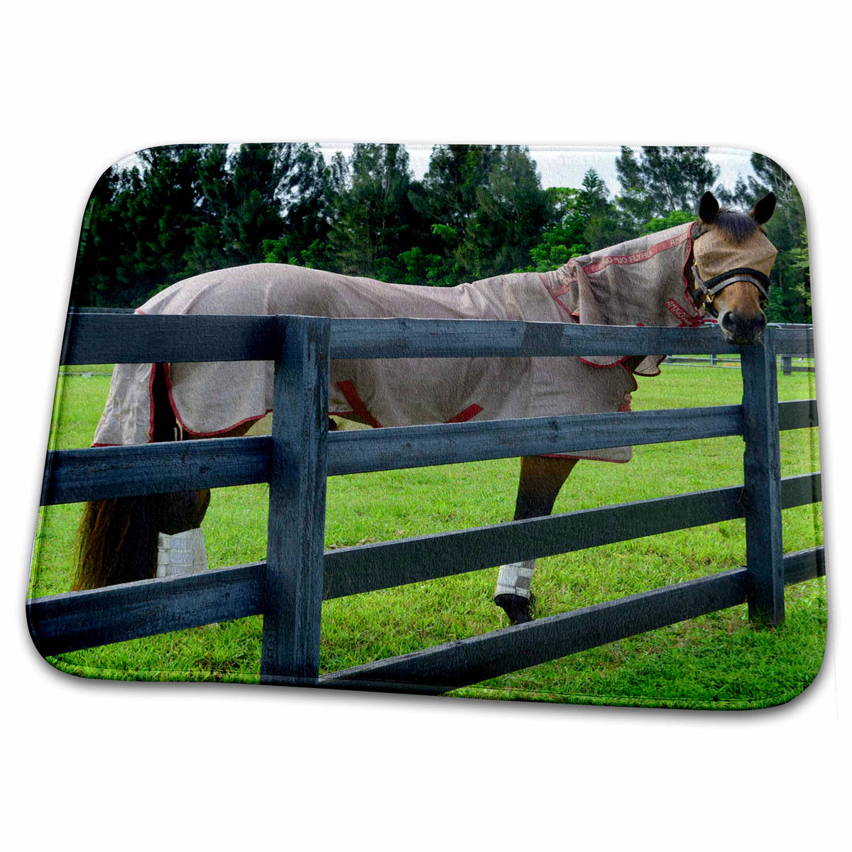 Dish Drying Mat - horse looking back over fence fly outfit color Animal Horse