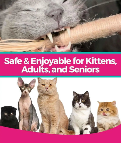 5 Pack Silvervine Sticks Cat Chew Toys, Cat Dental Toy for Kitten Teeth Cleaning & Pet Friendly Gift