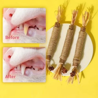 5 Pack Silvervine Sticks Cat Chew Toys, Cat Dental Toy for Kitten Teeth Cleaning & Pet Friendly Gift