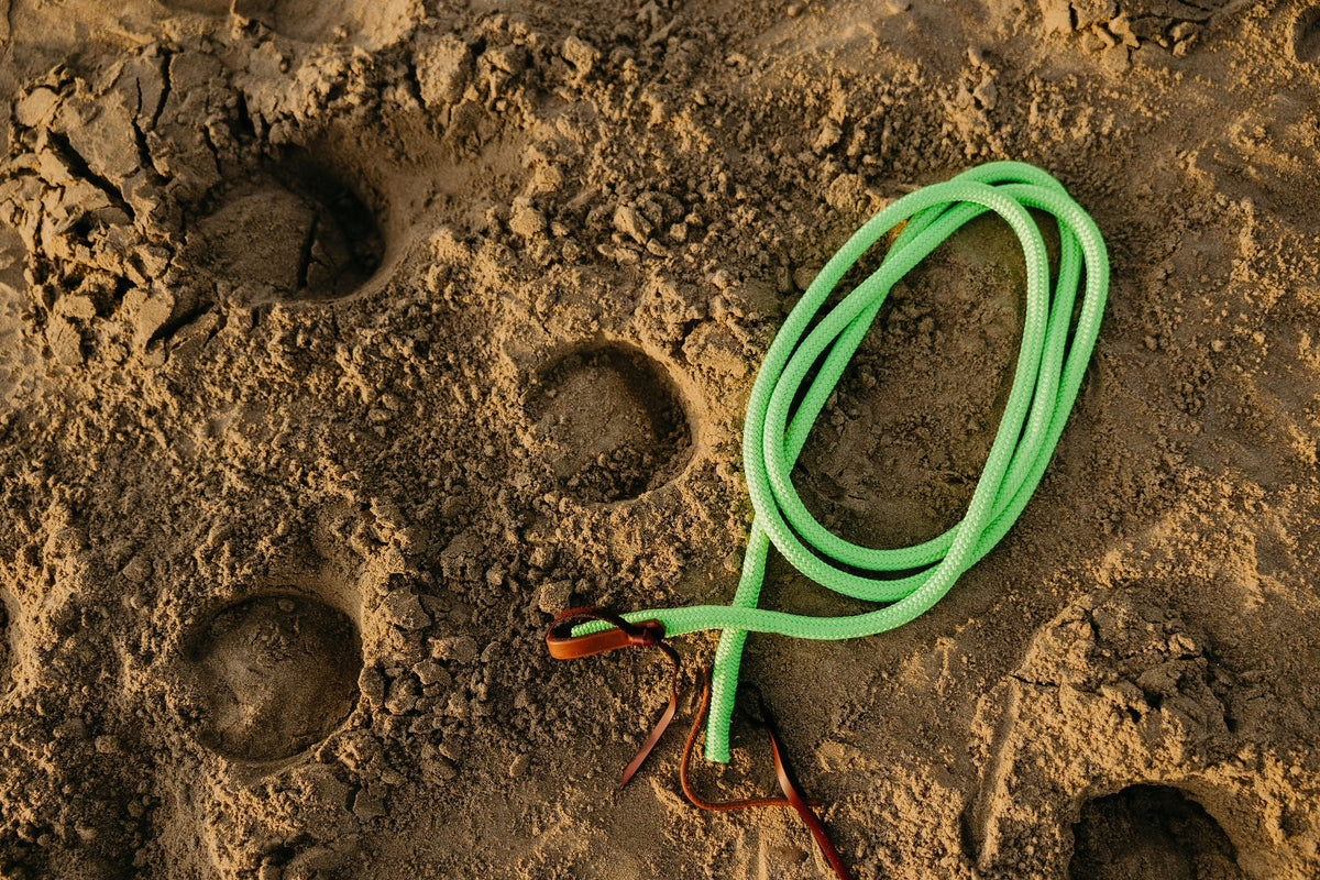 10 Ft Water Loop Reins