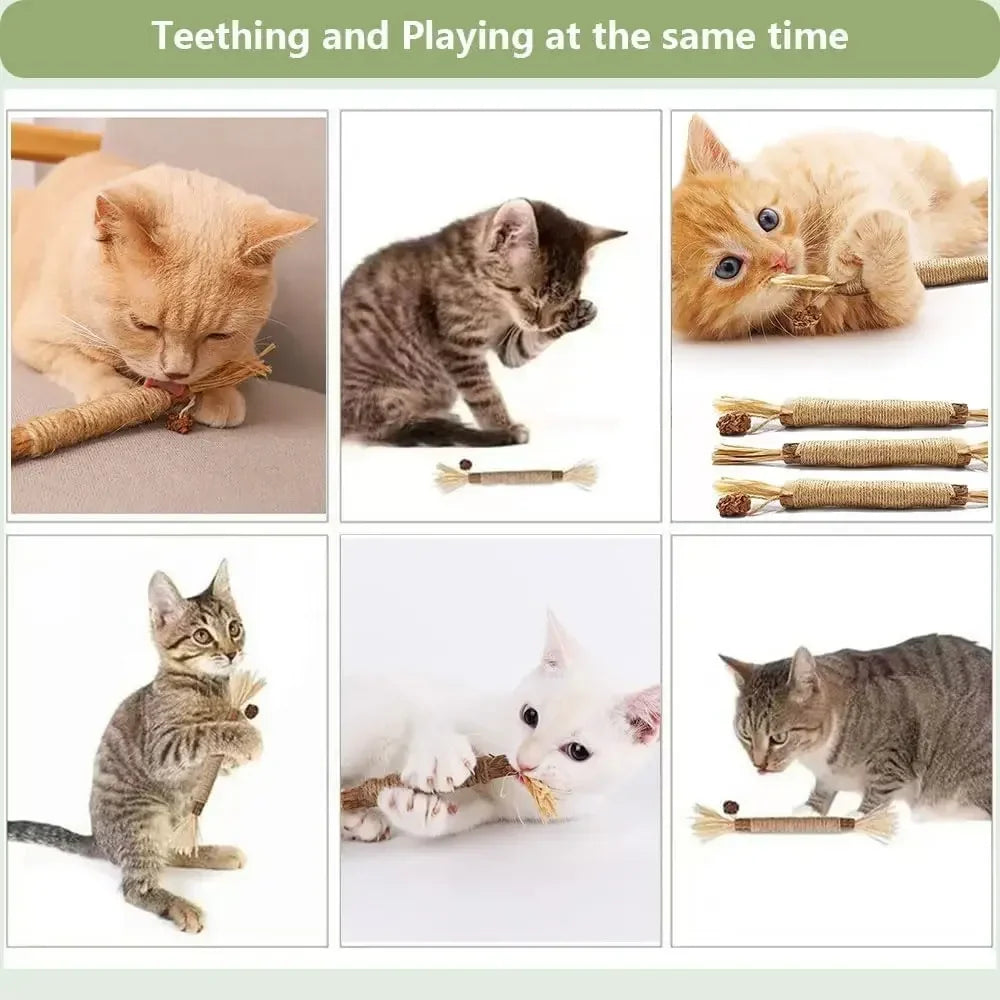 5 Pack Silvervine Sticks Cat Chew Toys, Cat Dental Toy for Kitten Teeth Cleaning & Pet Friendly Gift