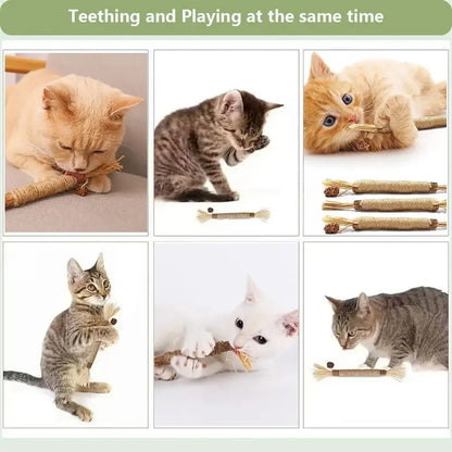 5 Pack Silvervine Sticks Cat Chew Toys, Cat Dental Toy for Kitten Teeth Cleaning & Pet Friendly Gift