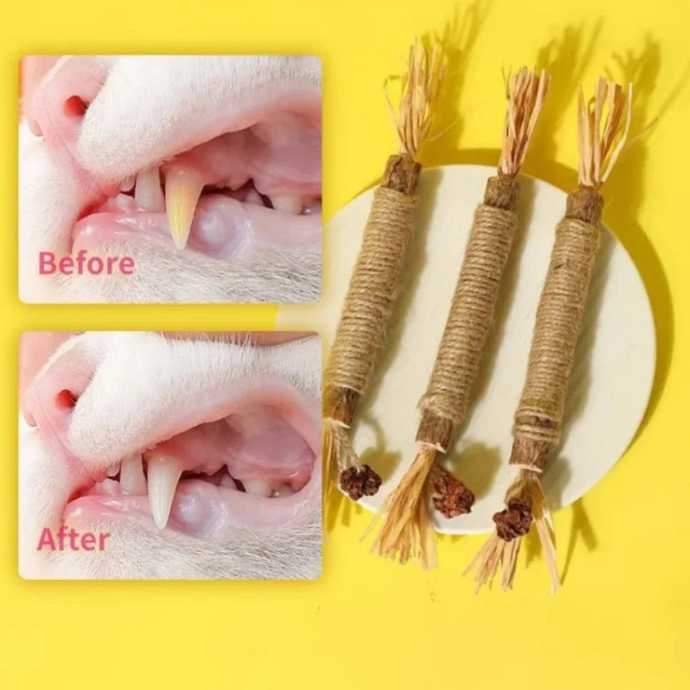 5 Pack Silvervine Sticks Cat Chew Toys, Cat Dental Toy for Kitten Teeth Cleaning & Pet Friendly Gift