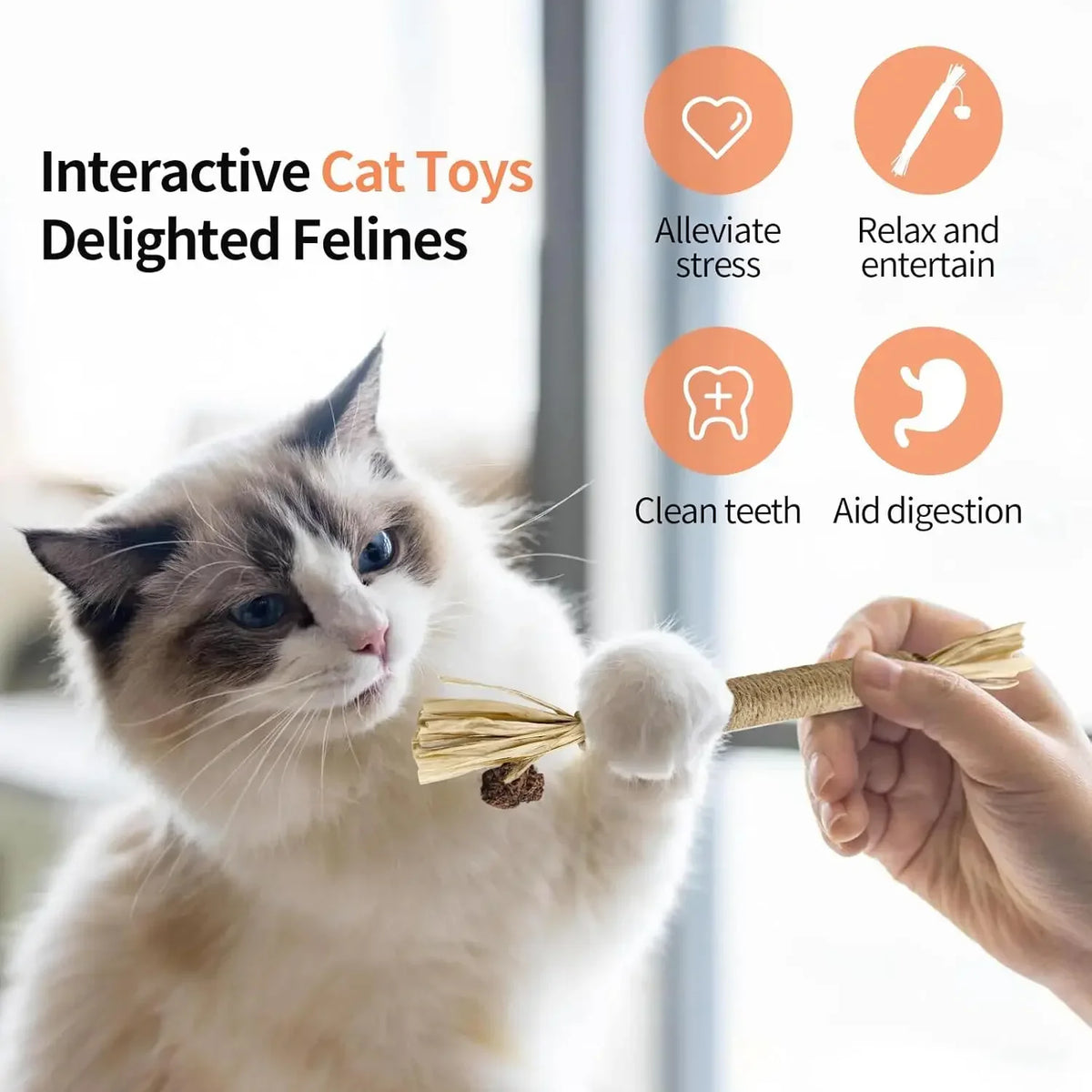 5 Pack Silvervine Sticks Cat Chew Toys, Cat Dental Toy for Kitten Teeth Cleaning & Pet Friendly Gift