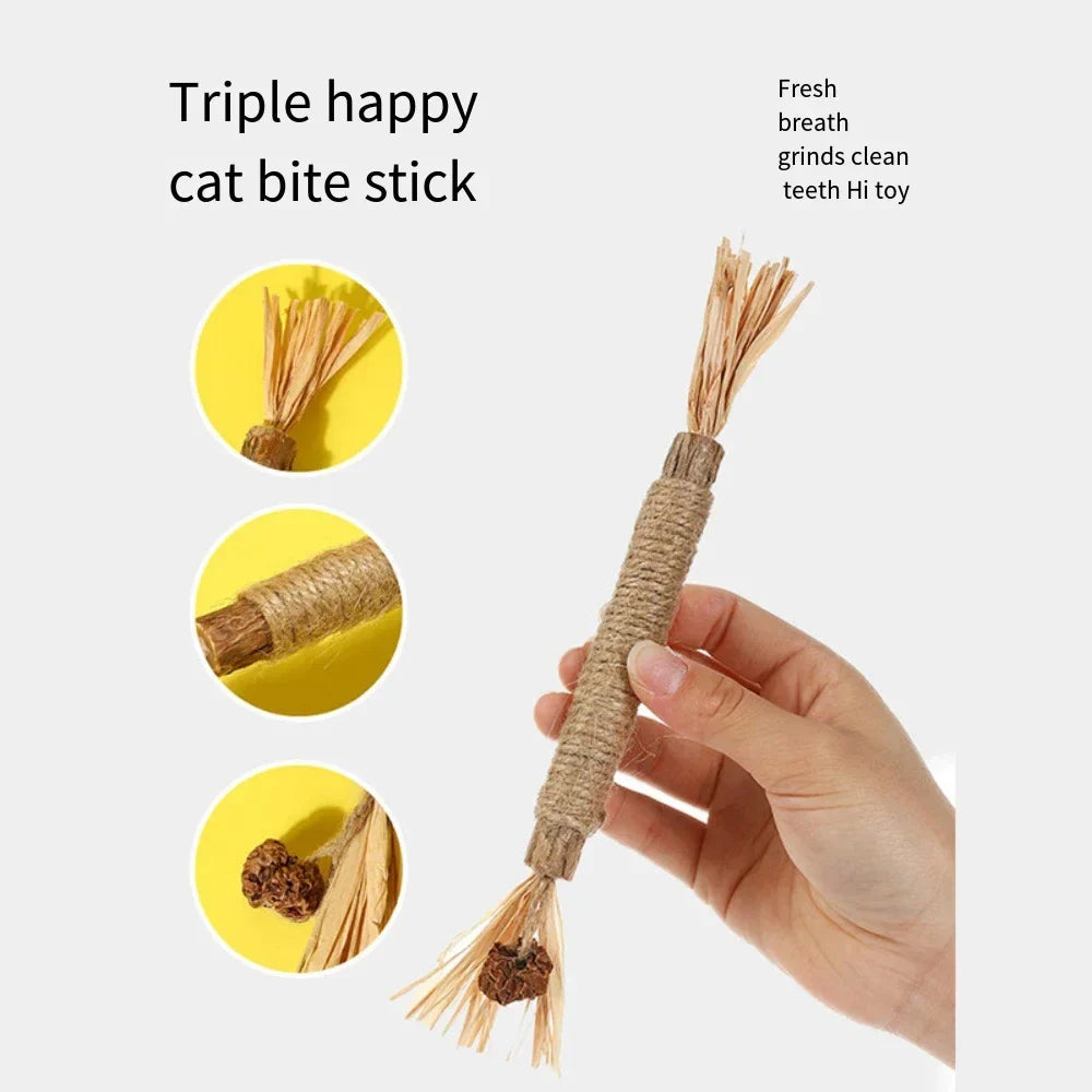 5 Pack Silvervine Sticks Cat Chew Toys, Cat Dental Toy for Kitten Teeth Cleaning & Pet Friendly Gift