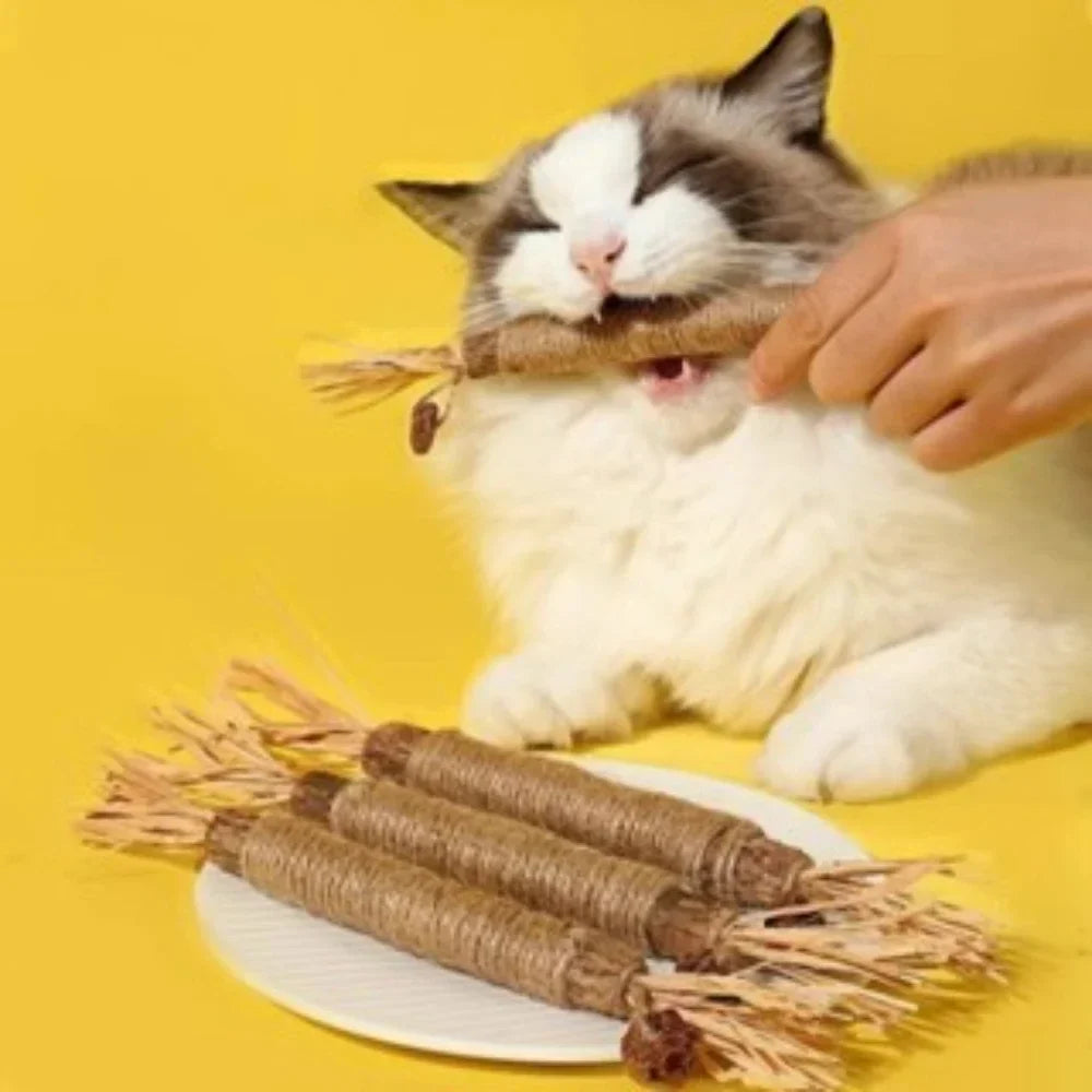 5 Pack Silvervine Sticks Cat Chew Toys, Cat Dental Toy for Kitten Teeth Cleaning & Pet Friendly Gift