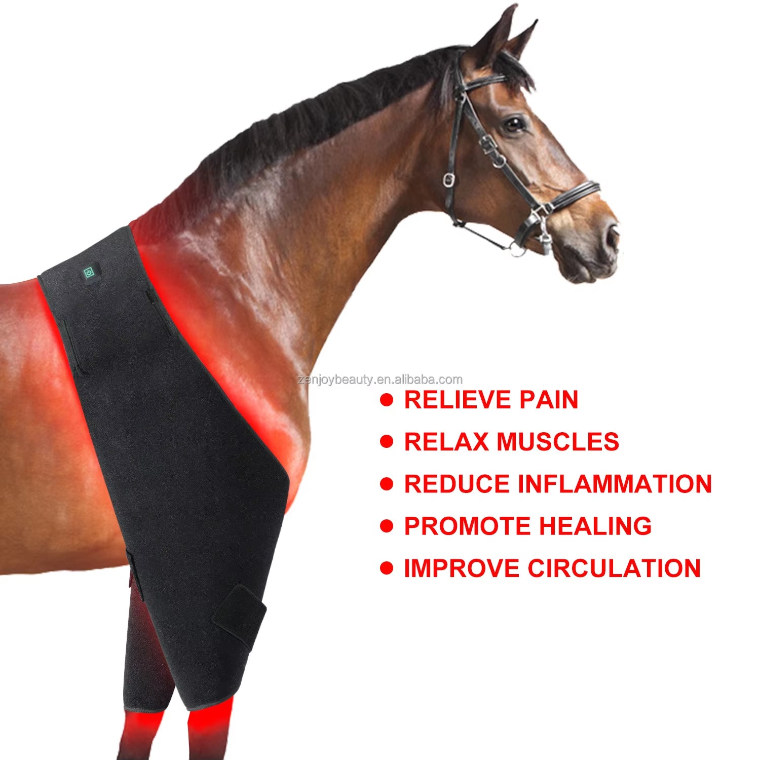 2025 Horse Care Products Built-In Battery LED Therapy Light Infrared Red Light Pad 660Nm 850Nm Pain Relief for Horse Stifle Belt