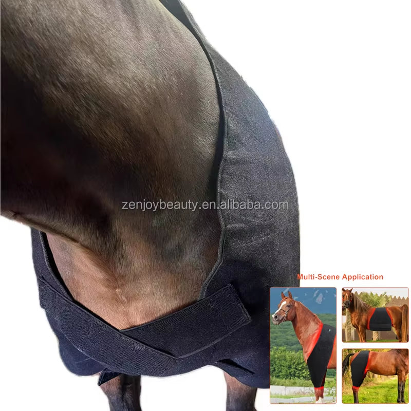 2026 OEM ODM Equine 660Nm 850Nm Horse Red Light Therapy Back Blanket LED Infrared Pain Relief Rechargeable Battery Pulse