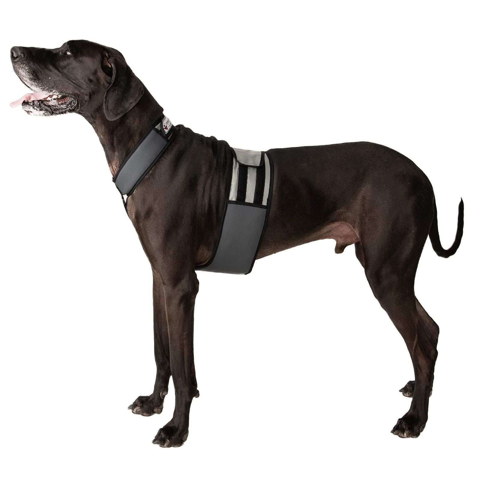 Dog Cooling Vest and Cooling Collar - Ice Vest for Dogs (XL) XL