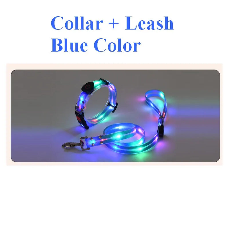 Pet Dog LED Light up Leash USB Rechargeable PVC with Webbing Glowing Pet Leash Light up Puppy Dog Night Walking No Collar