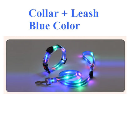 Pet Dog LED Light up Leash USB Rechargeable PVC with Webbing Glowing Pet Leash Light up Puppy Dog Night Walking No Collar