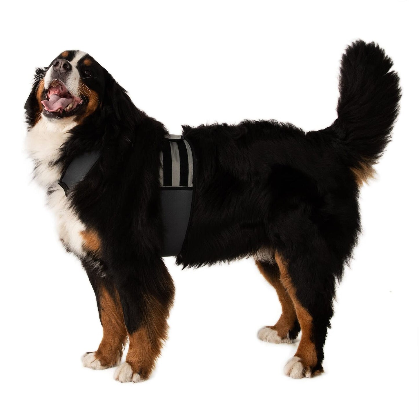 Dog Cooling Vest and Cooling Collar - Ice Vest for Dogs (XL) XL