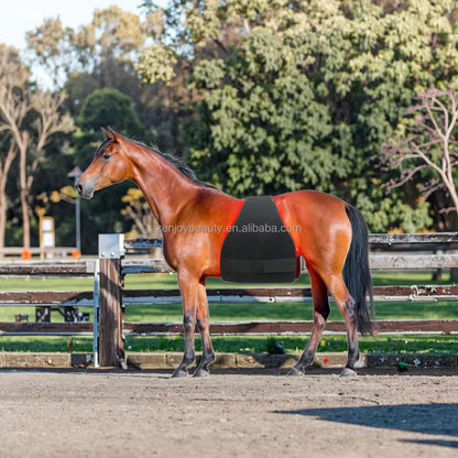 2025 Horse Care Products Built-In Battery LED Therapy Light Infrared Red Light Pad 660Nm 850Nm Pain Relief for Horse Stifle Belt