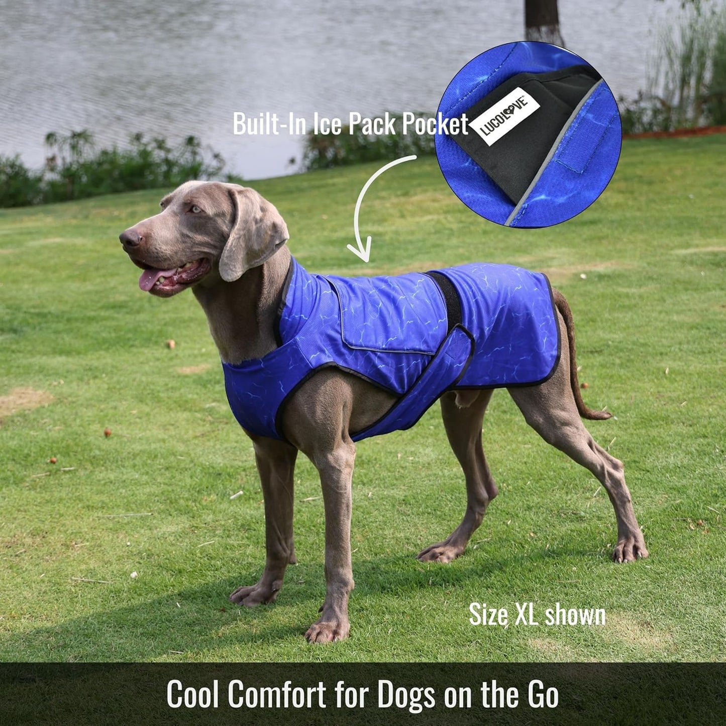Dog Cooling Vest with Ice Pack & Cooling Collar, Blue Aqua, M | Maximum Cooling Support, Size-Matched Ice Packs, Cooling around Neck and Body, UV Protection, Sizes to Suit Most Dogs