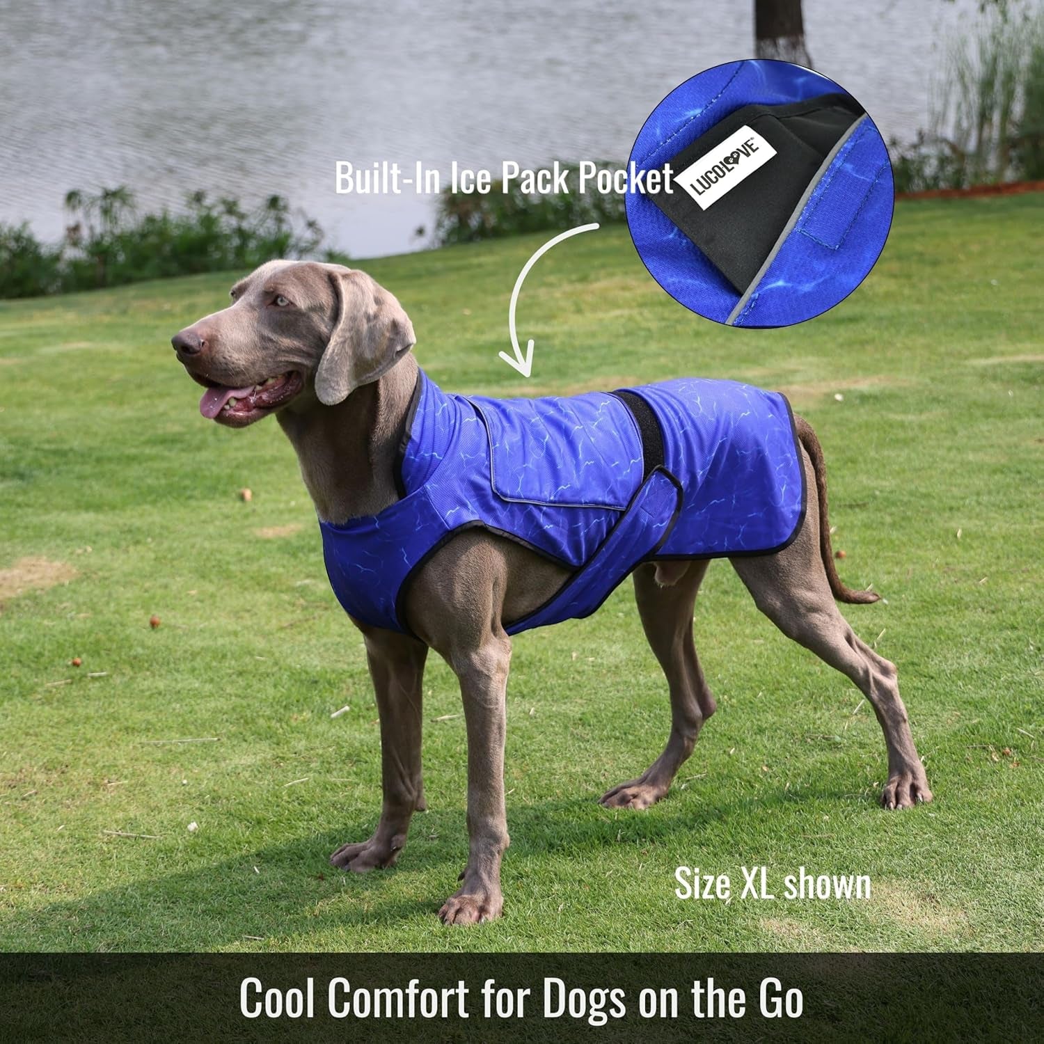 Dog Cooling Vest with Ice Pack & Cooling Collar, Blue Aqua, M | Maximum Cooling Support, Size-Matched Ice Packs, Cooling around Neck and Body, UV Protection, Sizes to Suit Most Dogs