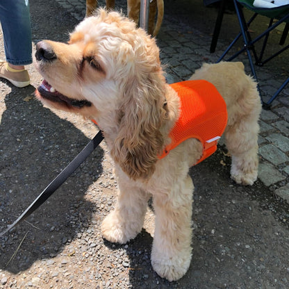 Cooling Vest for Dogs - Dog Cooling Vest with Innovative Cooling Packs (S, Orange)