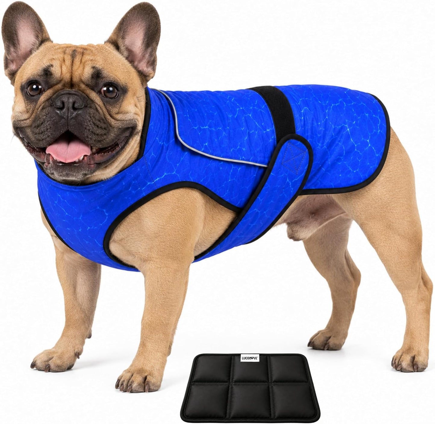Dog Cooling Vest with Ice Pack & Cooling Collar, Blue Aqua, M | Maximum Cooling Support, Size-Matched Ice Packs, Cooling around Neck and Body, UV Protection, Sizes to Suit Most Dogs