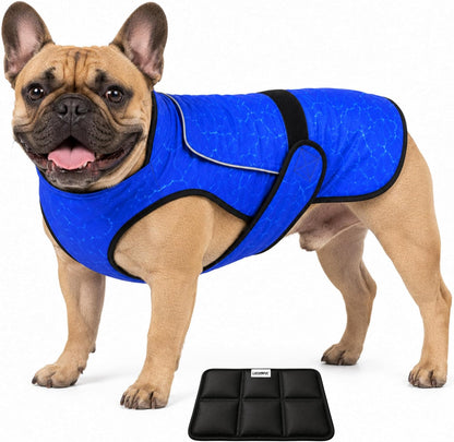 Dog Cooling Vest with Ice Pack & Cooling Collar, Blue Aqua, M | Maximum Cooling Support, Size-Matched Ice Packs, Cooling around Neck and Body, UV Protection, Sizes to Suit Most Dogs