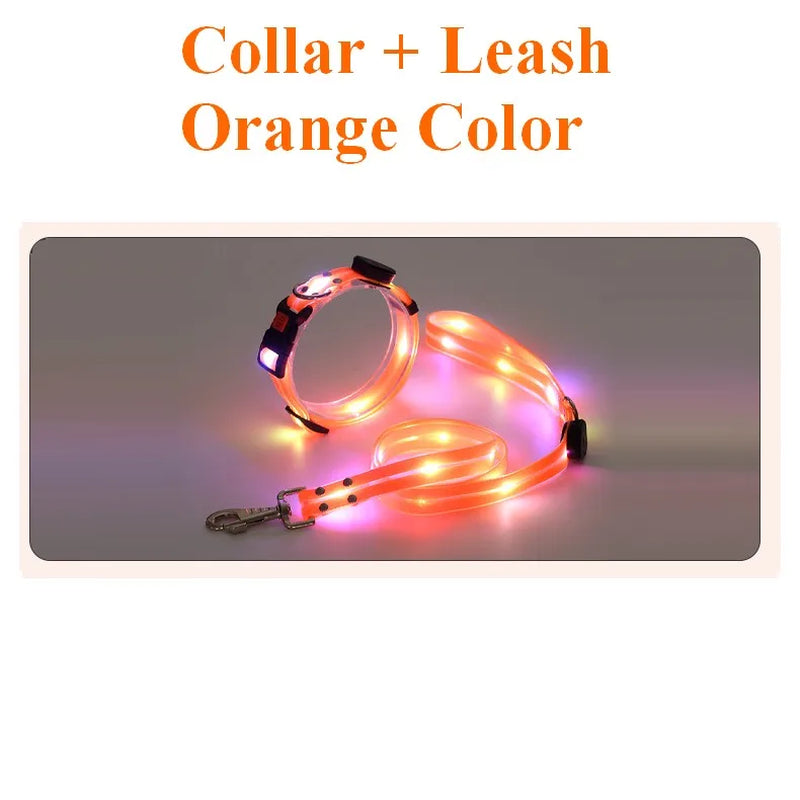 Pet Dog LED Light up Leash USB Rechargeable PVC with Webbing Glowing Pet Leash Light up Puppy Dog Night Walking No Collar